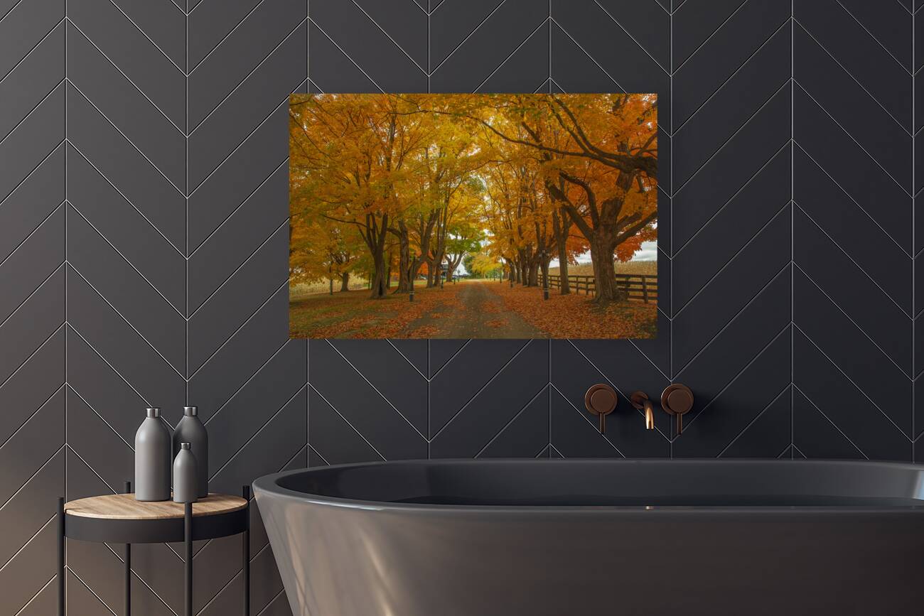 Enchanted Autumn Wonderland Pathway  Reproduction