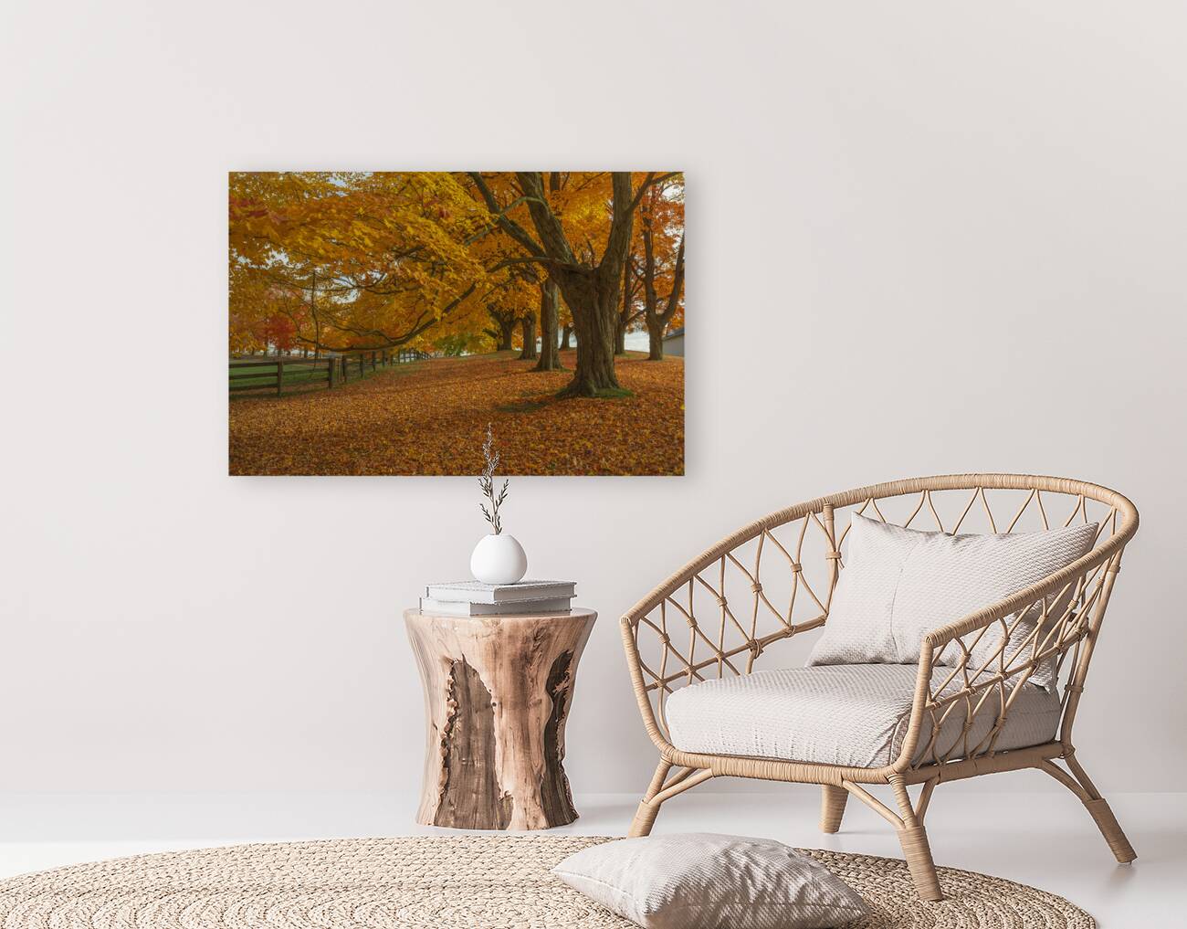 Autumn Farm Maple Pathway  Reproduction