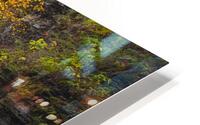 Autumn Gorge Paradise HD Metal print