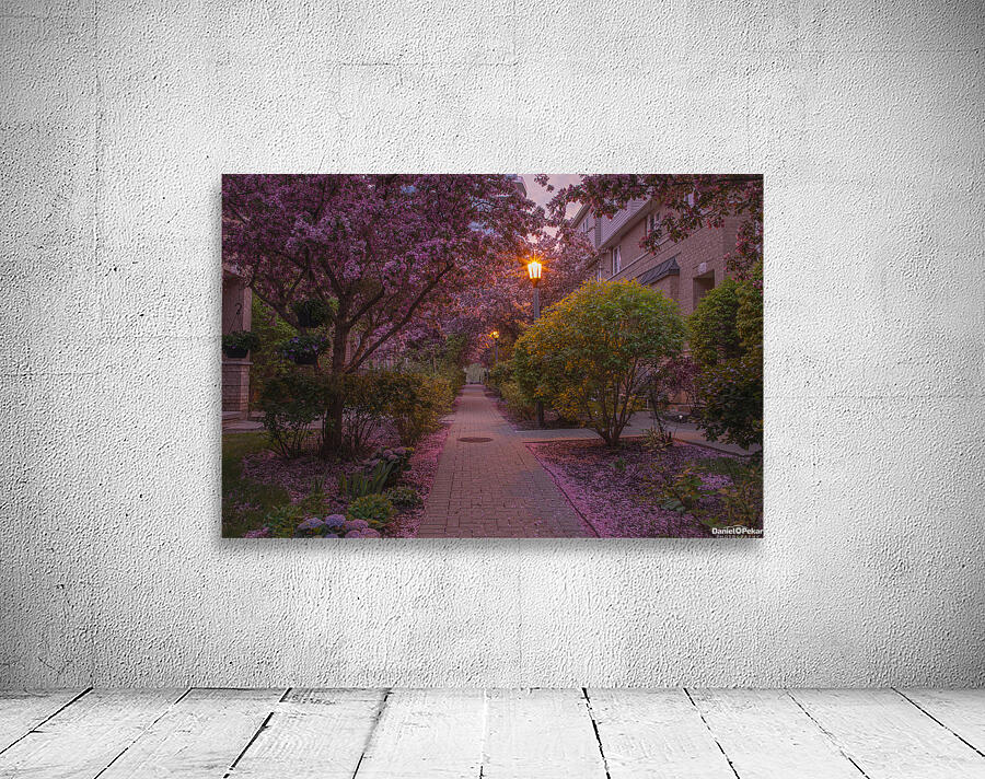 Crab apple blossom pathway Wall Preview