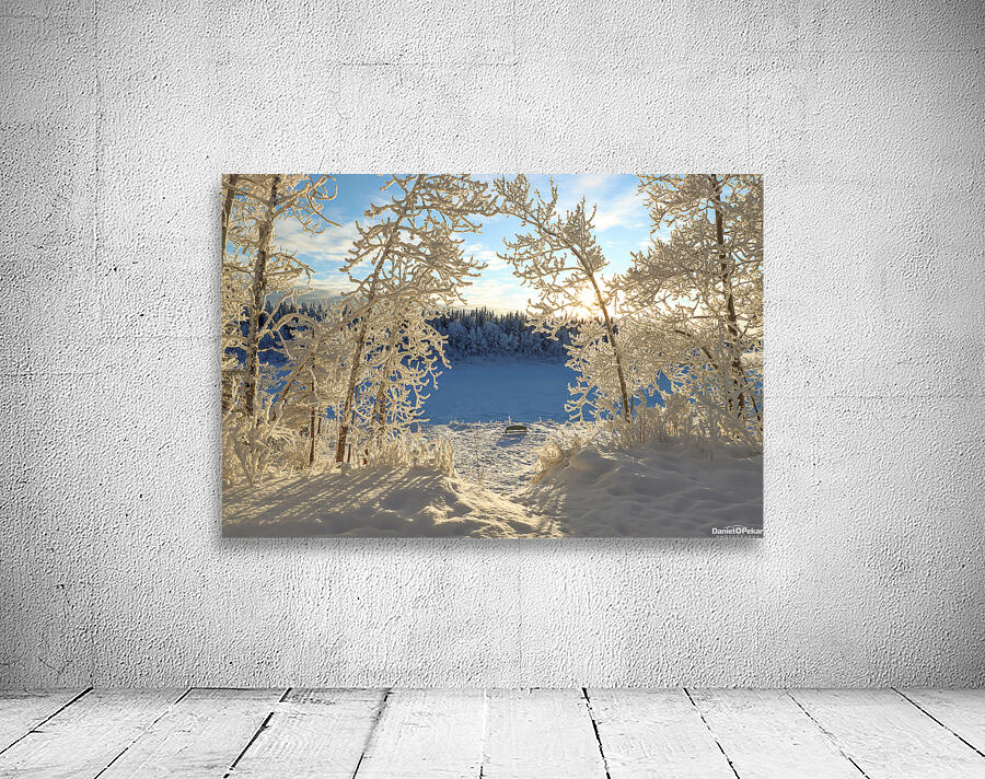 Winter Magic Wall Preview