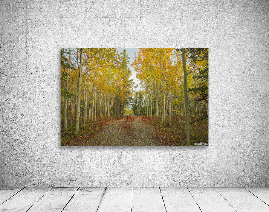 Northern Autumn Serenity Wall Preview