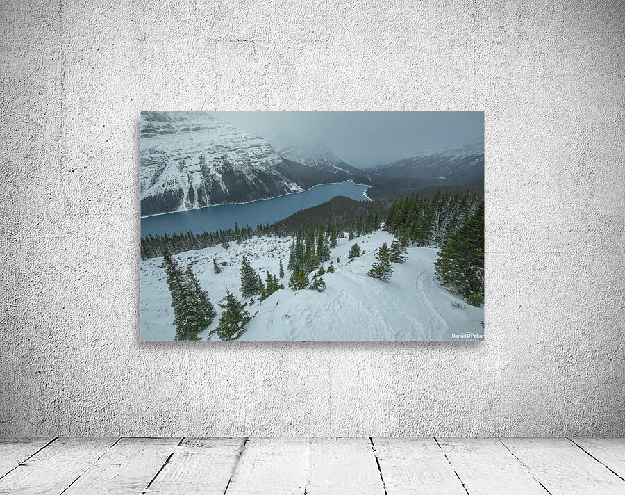 Peyto Lake winter overlook Wall Preview