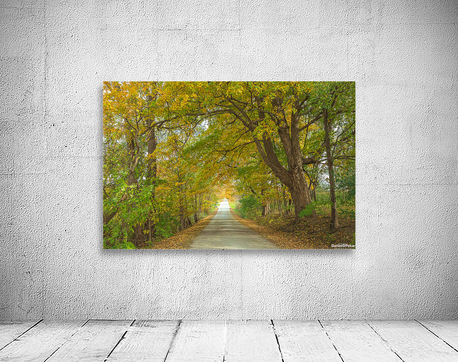 Rural Niagara Autumn Path Wall Preview