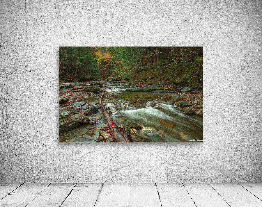 Autumn Forest Stream Wall Preview