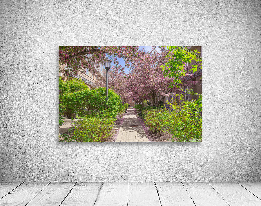 Dreamy Spring Path Wall Preview