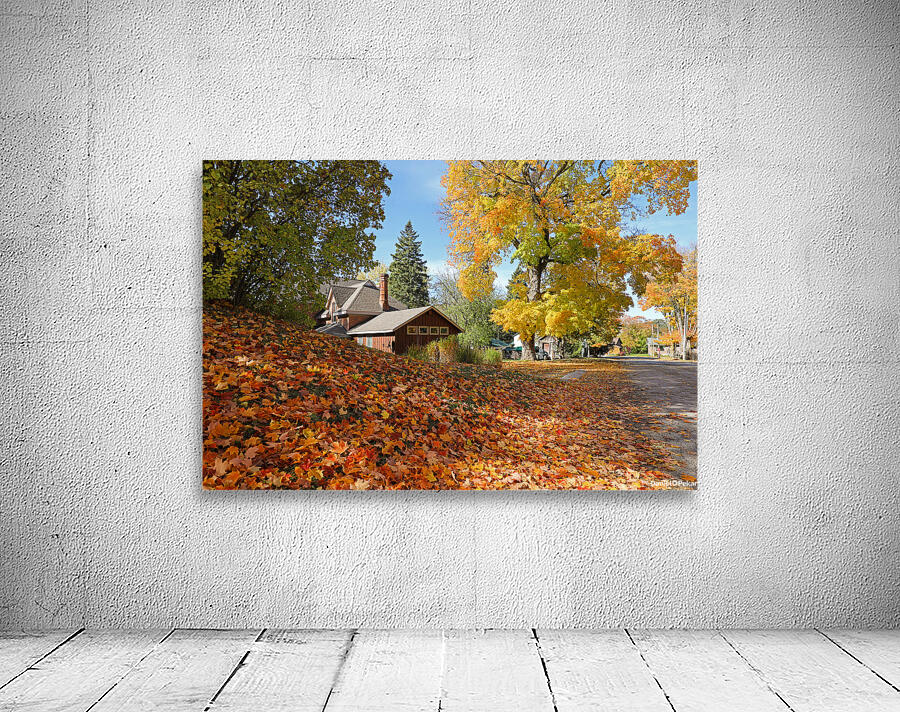 Flesherton Maple Magic Wall Preview