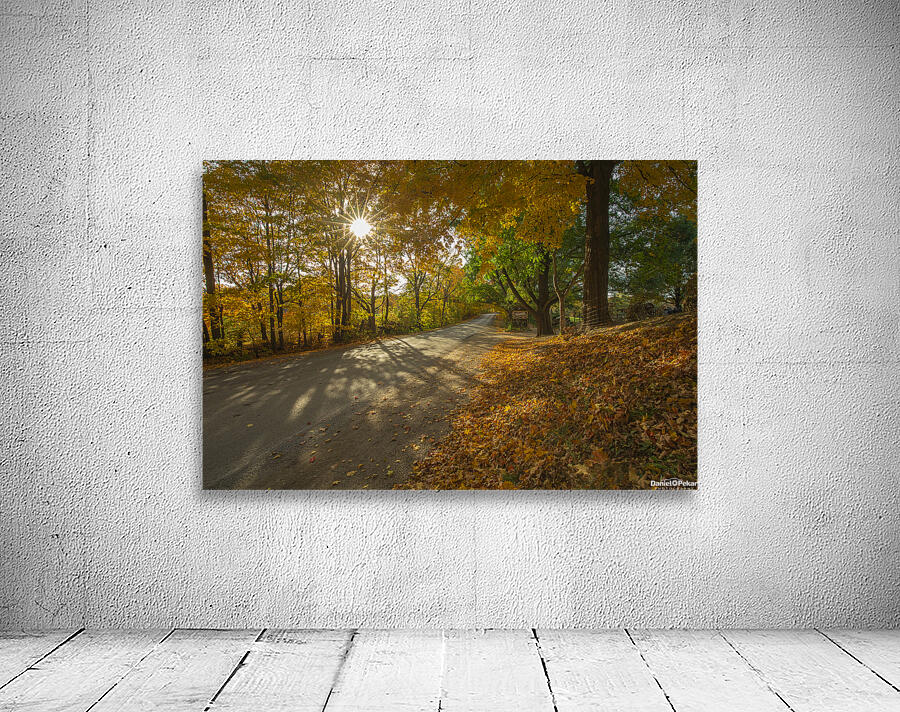 Howells Autumn Road Wall Preview