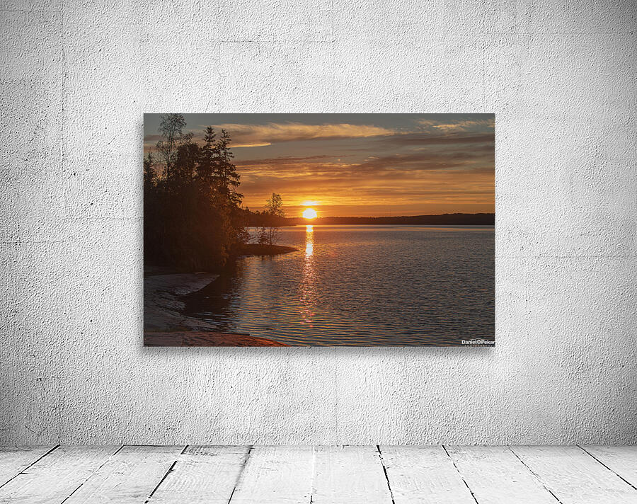 Majesty of the Midnight Sun Wall Preview