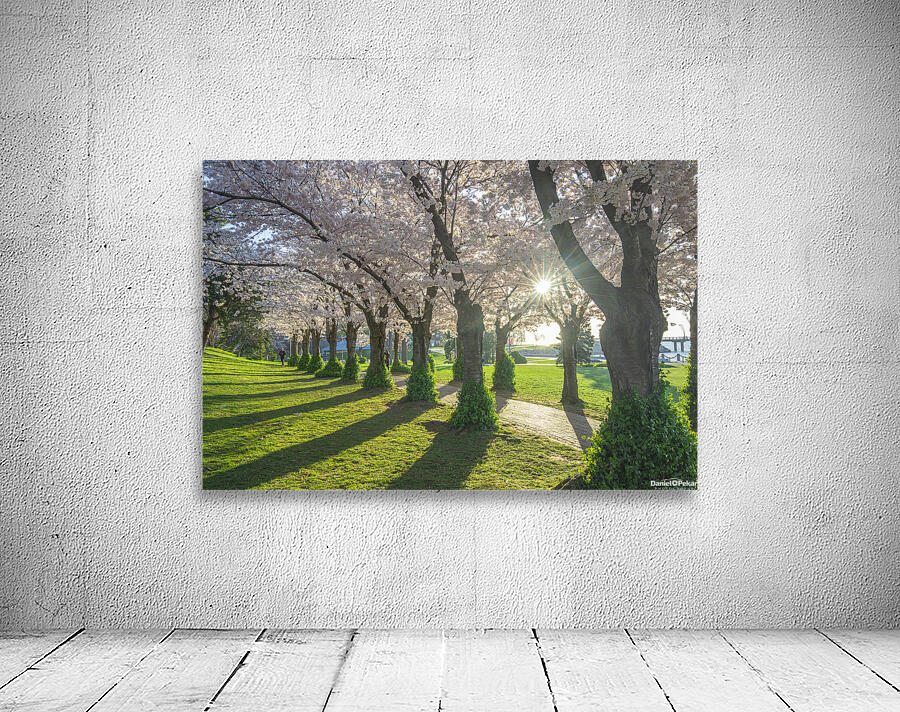 Morning Spring Freshness Wall Preview