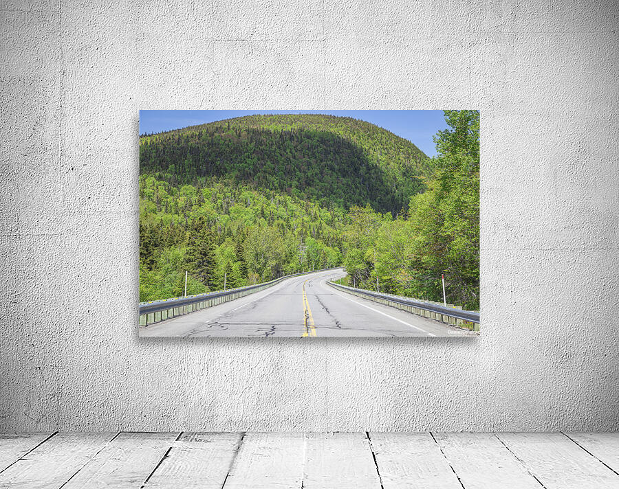 Mountain Road in Forillon National park Wall Preview