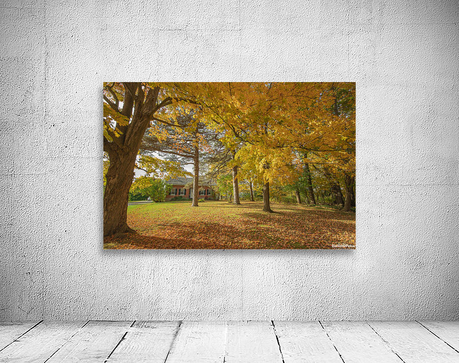 Rural Niagara Autumn Residence Wall Preview