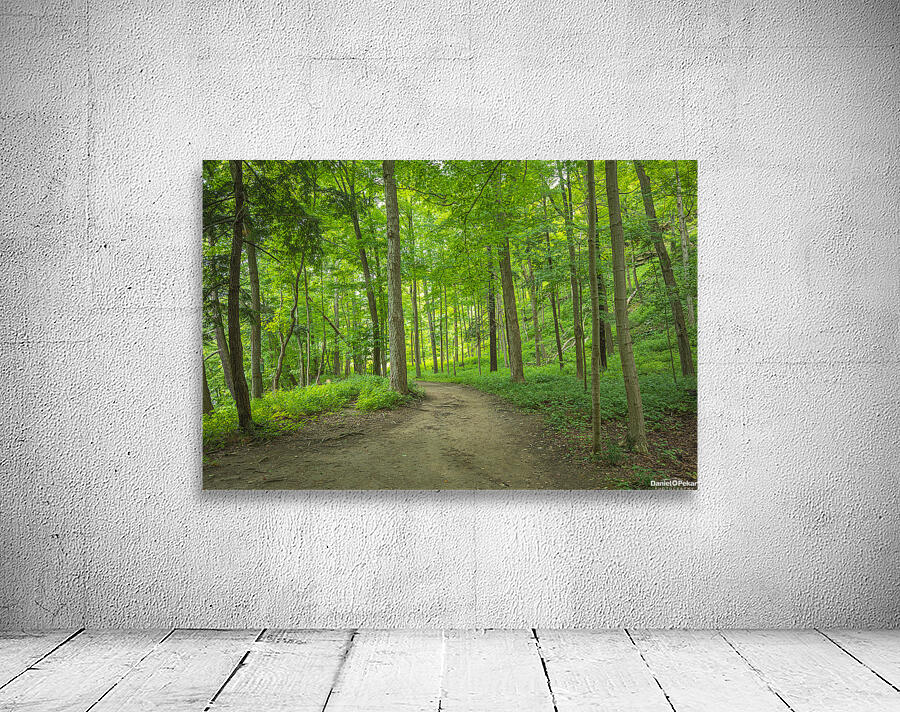 Summer fresh forest glow Wall Preview