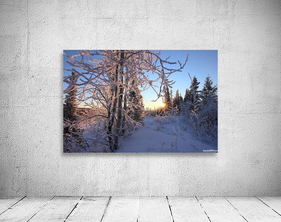 Winter Morning Frost Sunburst Wall Preview