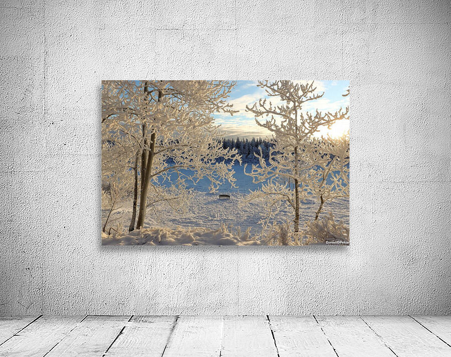 Winter wonderland frost Wall Preview