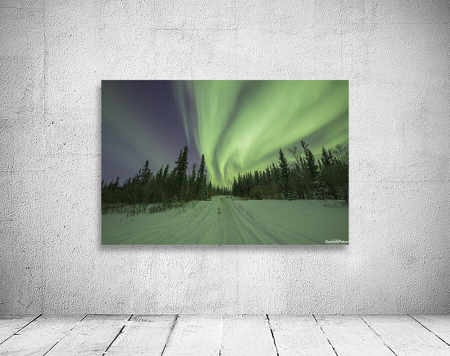 Light up the path Wall Preview