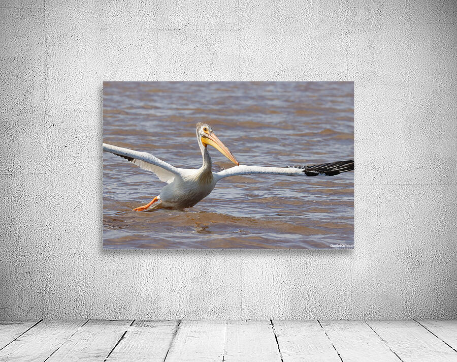 Pelican Takeoff Wall Preview