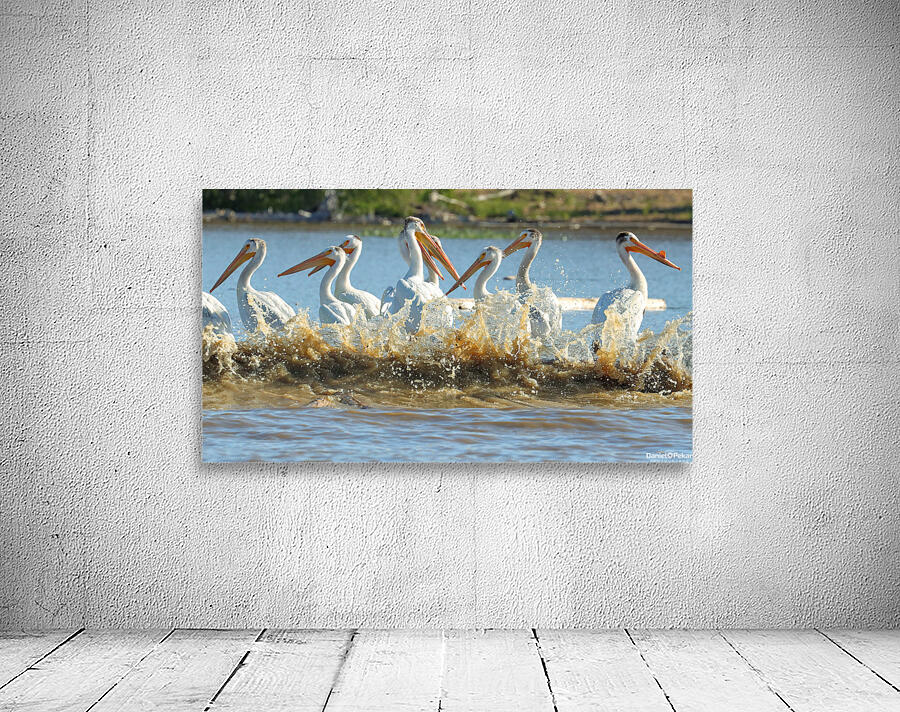 Pelicans in the Waves Wall Preview