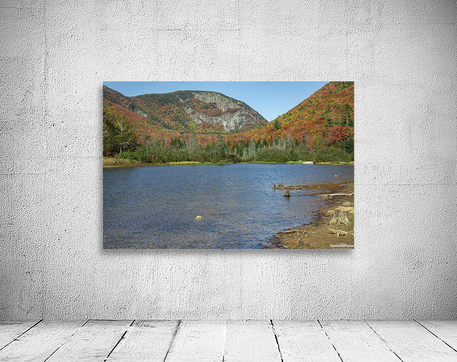 Autumn at Willey Pond Wall Preview