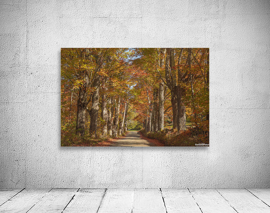Lovers Lane Autumn Splendor Wall Preview