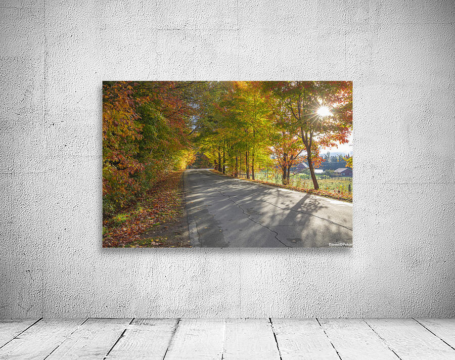 Autumn Road Morning Glow Wall Preview