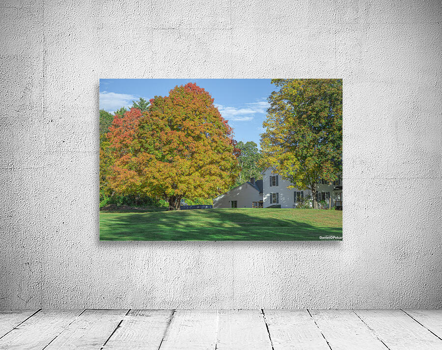 Autumn Maple Magic Wall Preview