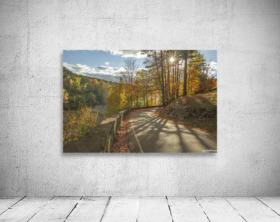 Letchworth Autumn Road Evening Glow Wall Preview