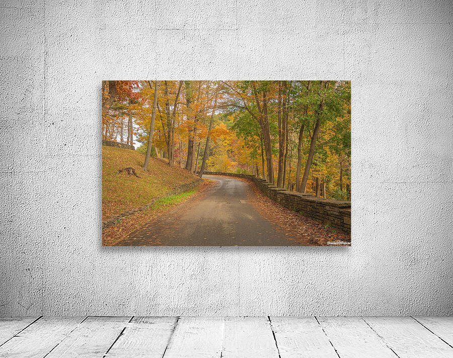 Letchworth Autumn Road to Paradise Wall Preview