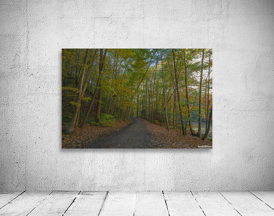 Taughannock Falls Forest Trail Wall Preview