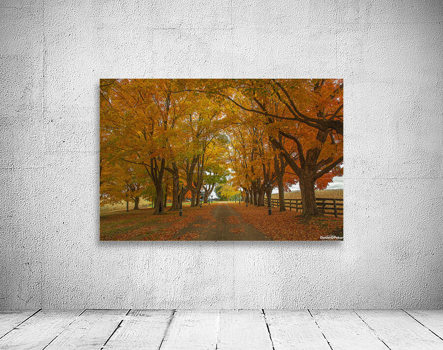 Enchanted Autumn Wonderland Pathway  Wall Preview