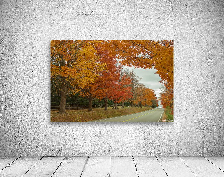 Rural Autumn Road Splendor  Wall Preview
