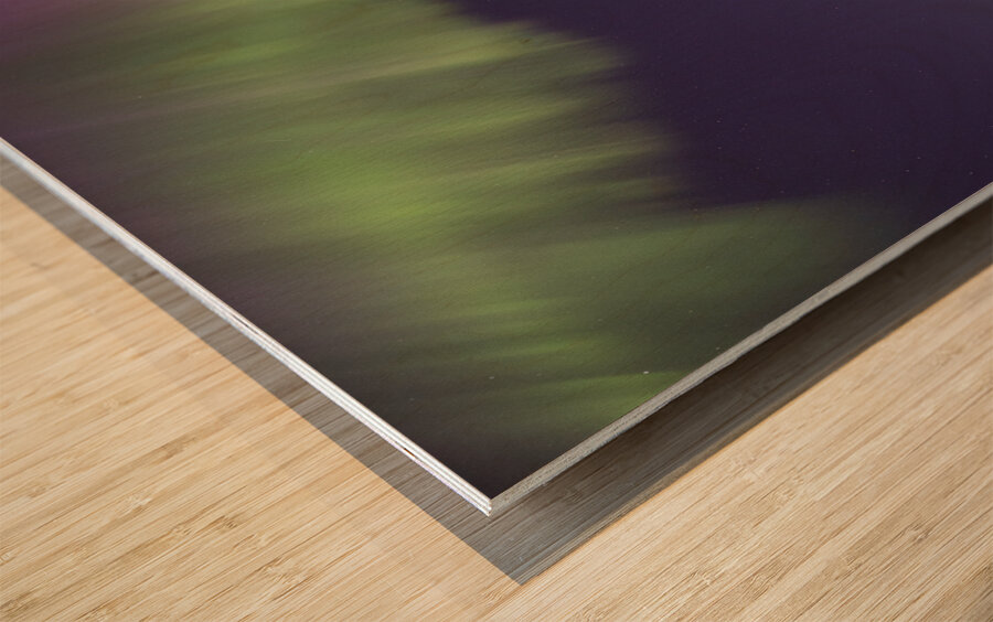 Aurora Curtain Wood print