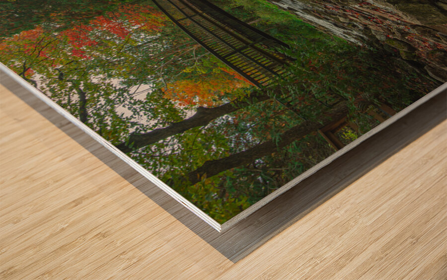 Belfountain early autumn flow Wood print