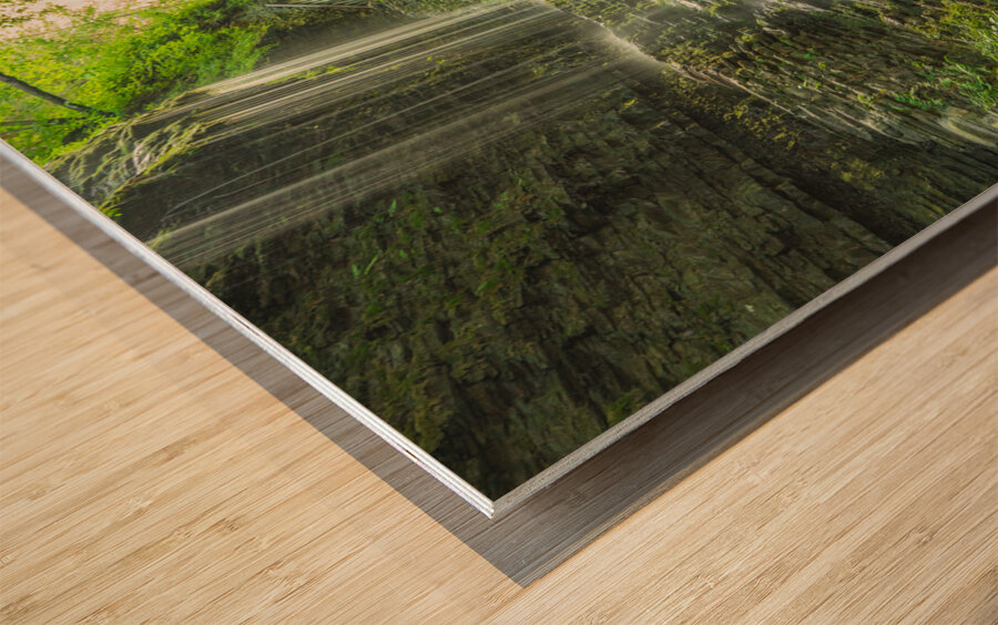 Rainbow Falls Summer Glow Wood print