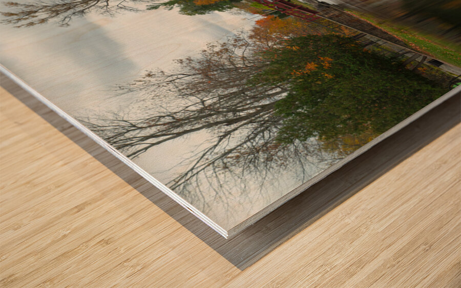 Stewart park Reflections Wood print