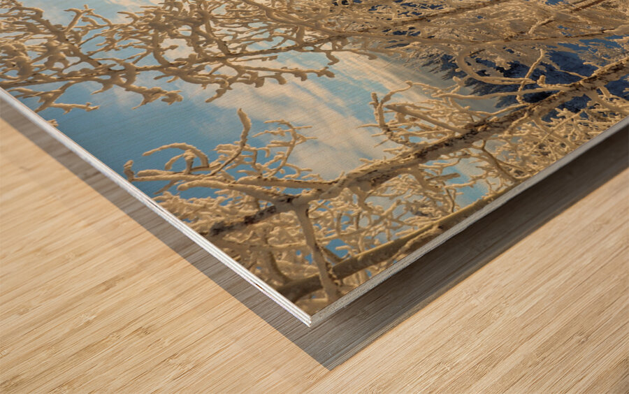 Winter Magic Wood print