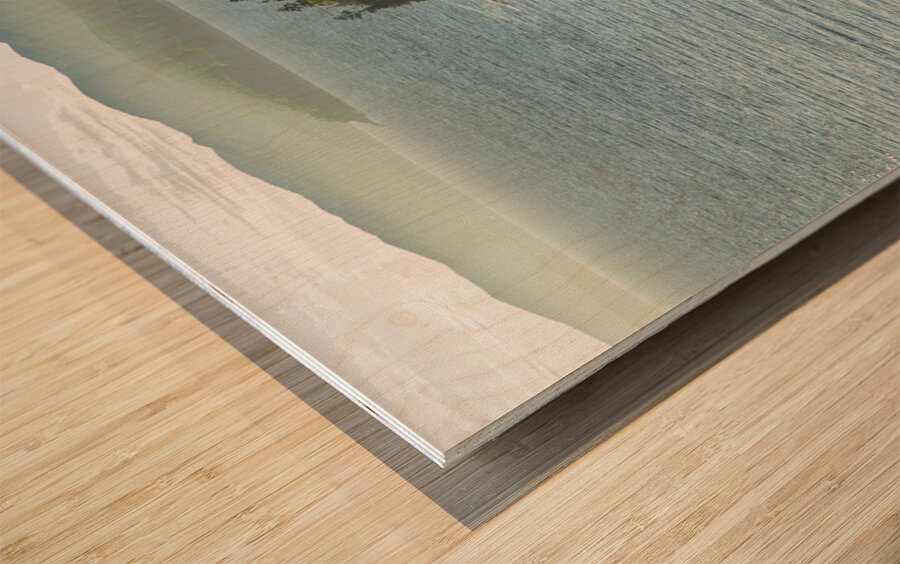 Forillion historic houses Wood print