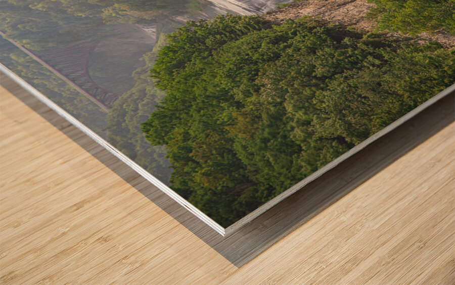 Inspiration Point Beauty Wood print