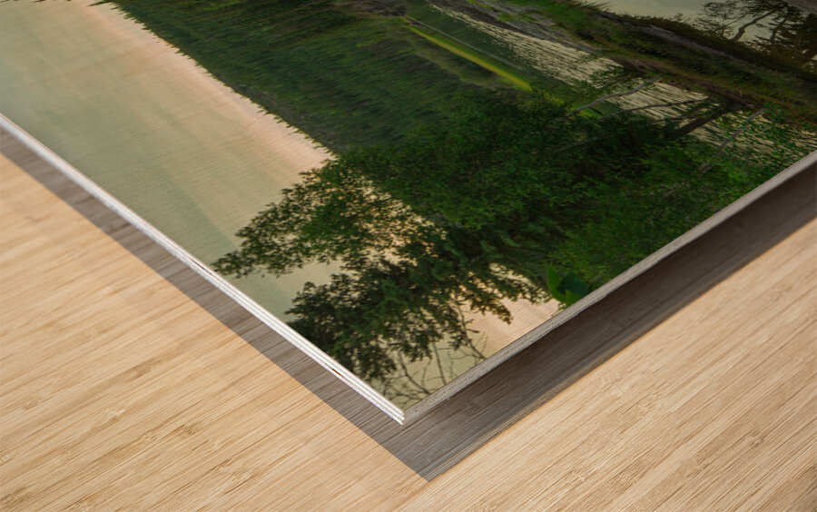 Beauty of Rampart Falls Wood print