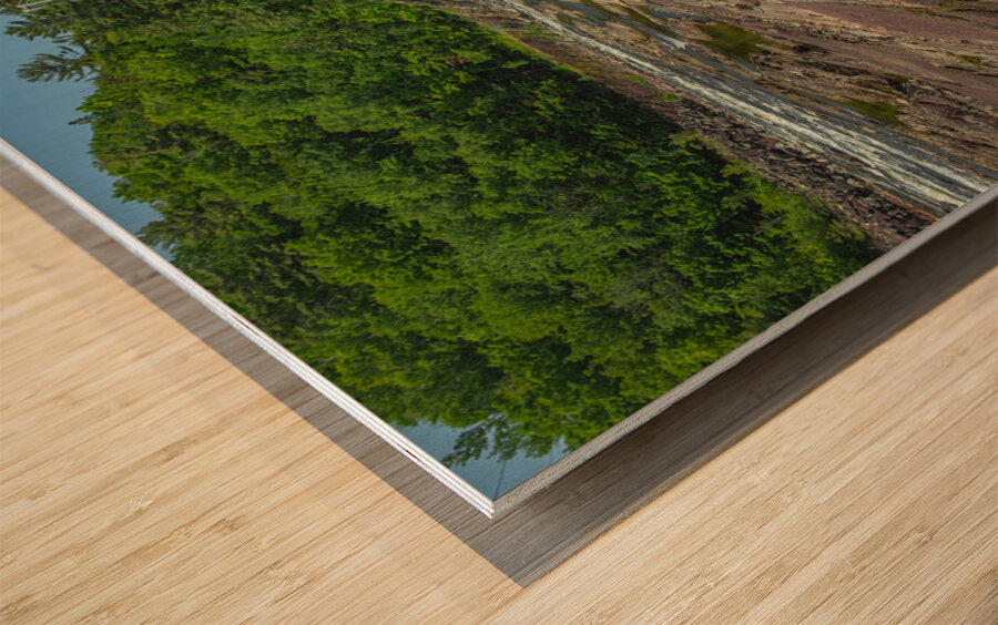 Chaudiere Falls Suspension Bridge Wood print