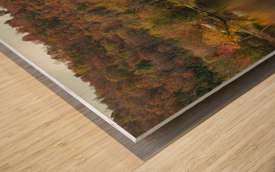 Classic Autumn Pond Beauty Wood print