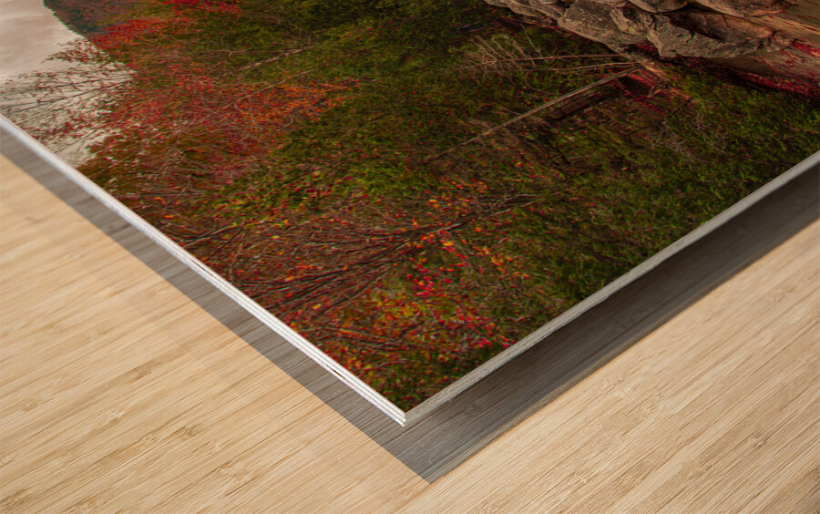 Lake Willoughby Autumn Magic Wood print