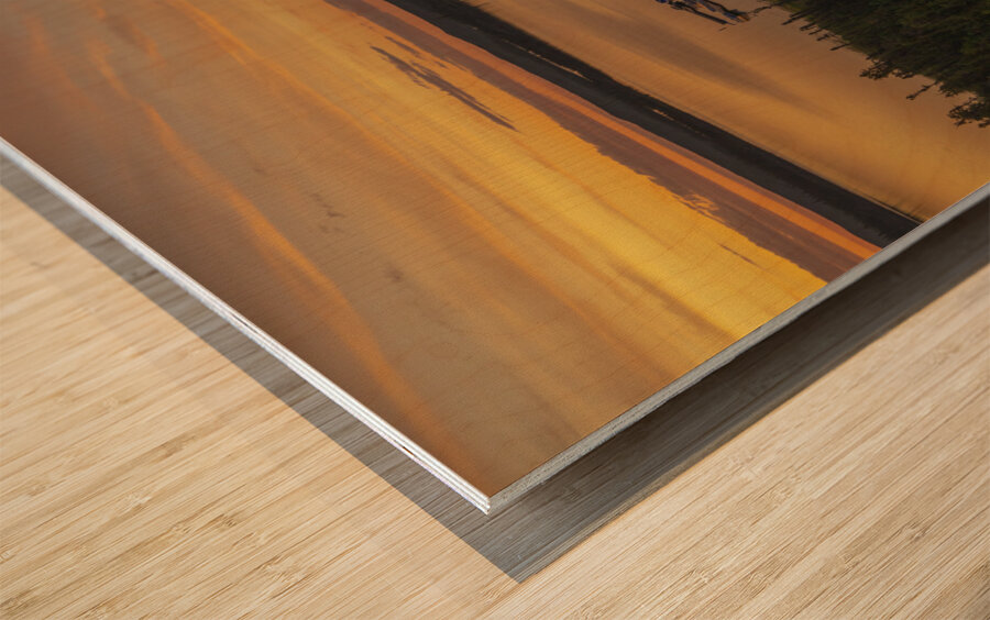 Prelude Midnight Sunset Wood print