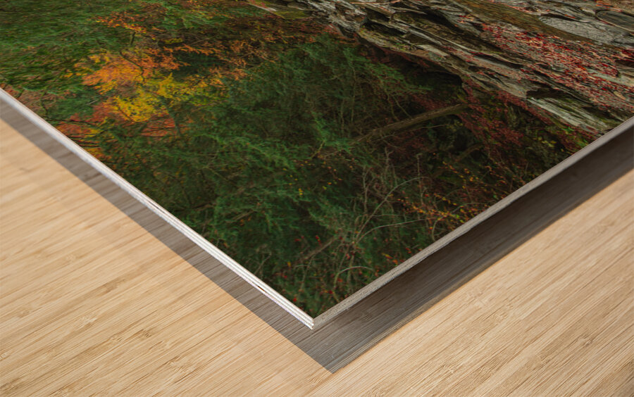 Autumn Forest Stream Wood print