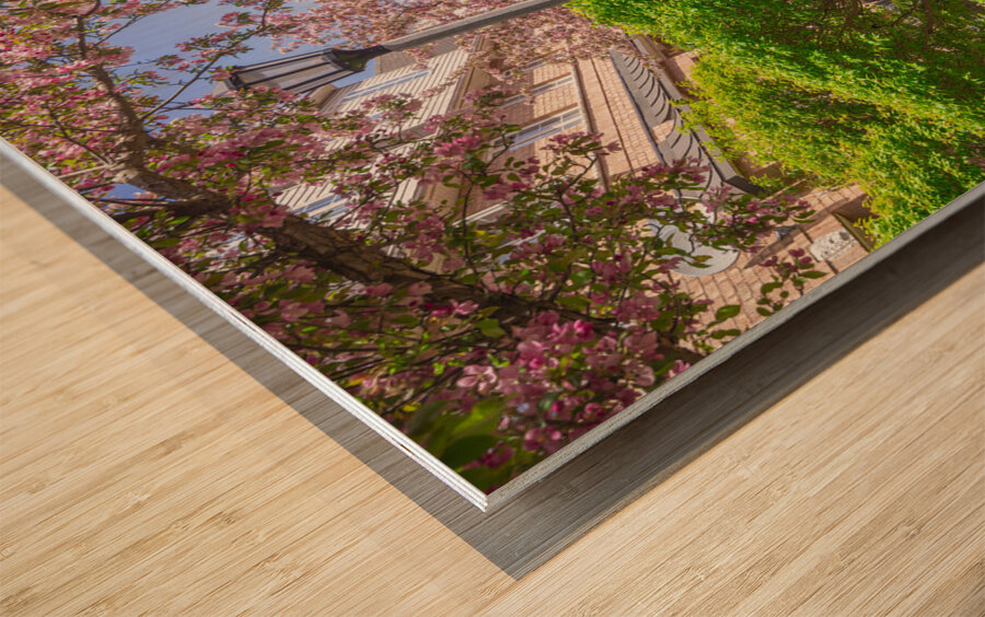 Dreamy Spring Path Wood print