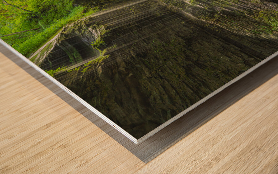 Fantasy Kingdom   Rainbow Falls Wood print