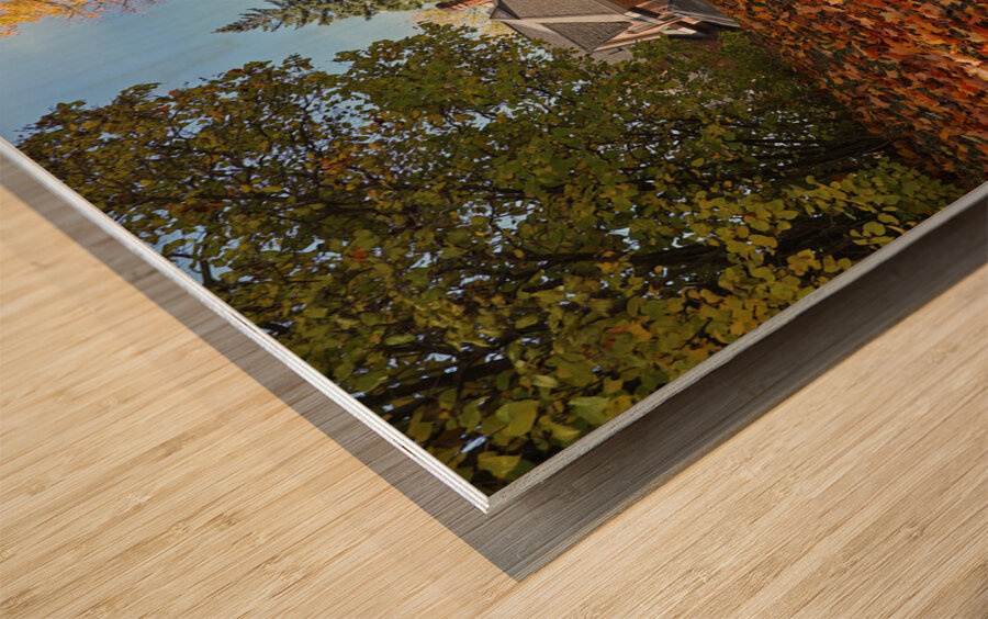 Flesherton Maple Magic Wood print