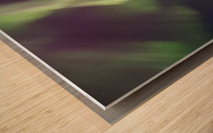 House boat Aurora Swirls Wood print