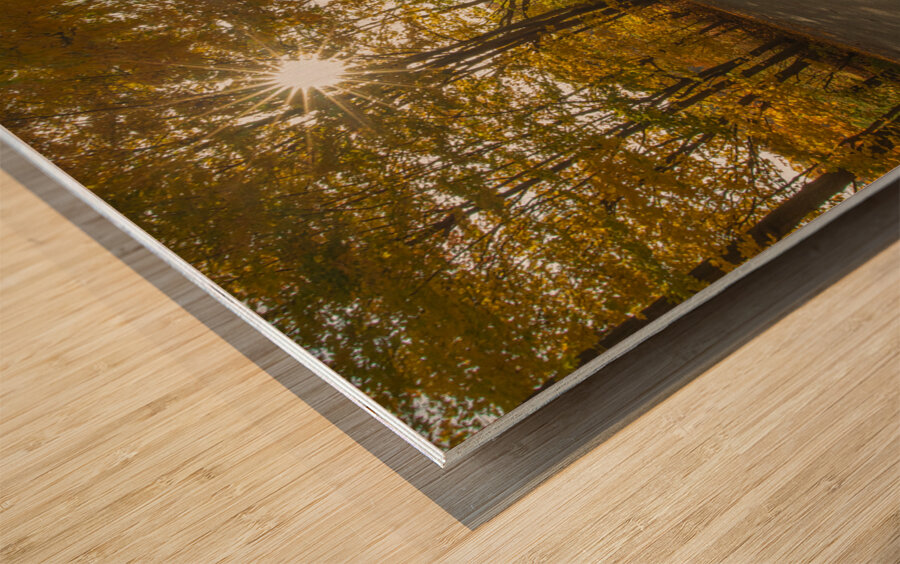 Howells Autumn Road Wood print