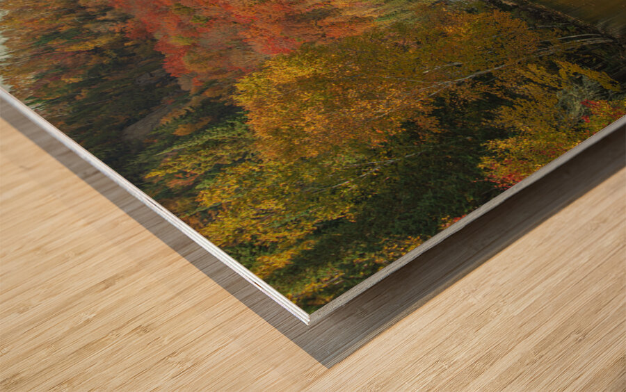 Lac Superieur Autumn beauty Wood print